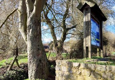 Randonnée Marche Hannut - La promenade de la Mouhagne - Photo