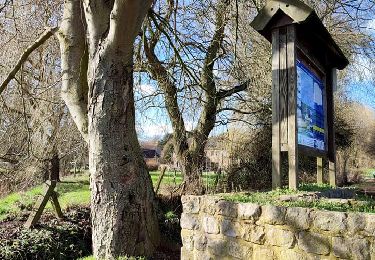 Tocht Stappen Hannuit - La promenade de la Mouhagne  - Photo