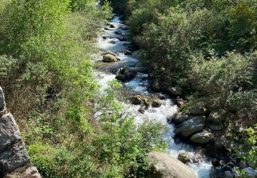 Randonnée Marche Vernet-les-Bains - Abbaye de St Martin du Canigou - Photo