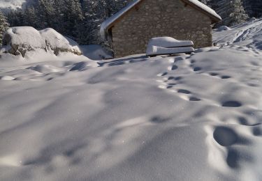 Excursión Senderismo Villard-de-Lans - 38 roybon2021 decembre - Photo