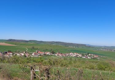 Excursión Bici eléctrica Capavenir-Vosges - autour de Thaon - Photo