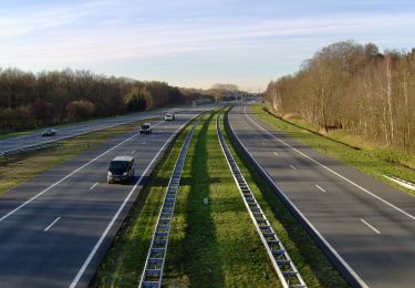 Randonnée A pied Borne - WNW Twente - Borne - rode route - Photo