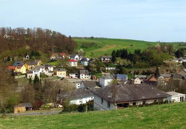 Tour Zu Fuß Schönborn - Küppeltour - Photo