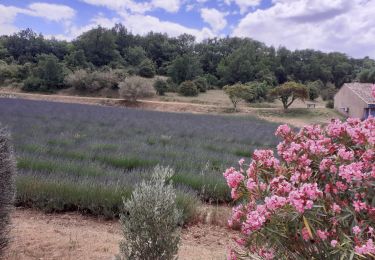 Trail Walking Saint-Montan - Saint Montan - Photo