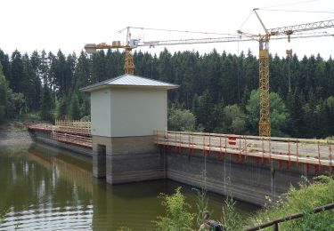 Tocht Te voet Oberharz am Brocken - Wanderweg grüner Punkt - Photo