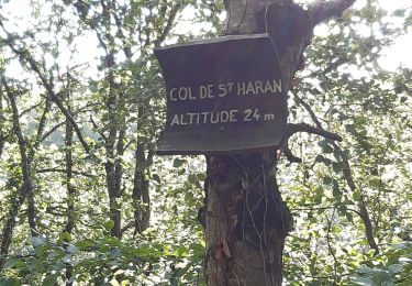 Trail Walking Plestin-les-Grèves - boucle St Haran raccourcie - Photo