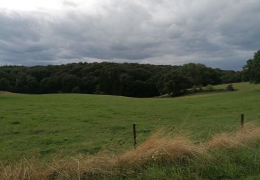 Randonnée Marche Chimay - Balade bucolique  - Photo