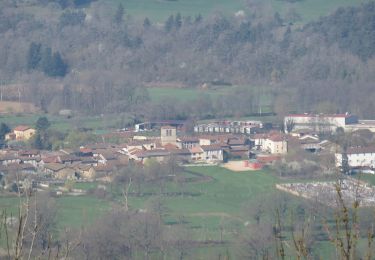 Tocht Te voet Dore-l'Église - Les panoramas de Dore l'Eglise - Photo