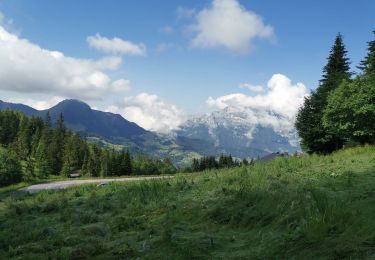 Excursión Senderismo Manigod - La Clusaz ... au départ du col de la Croix de FRY. - Photo