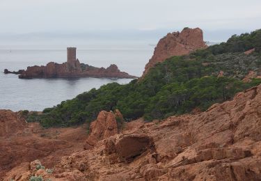 Randonnée Marche Saint-Raphaël - Le Dramont en commun 2024 - Photo
