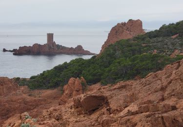 Tocht Stappen Saint-Raphaël - Le Dramont en commun 2024 - Photo