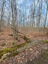 Percorso Marcia Saint-Léger-en-Yvelines - Les Haizettes  - Photo