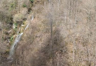 Tocht Stappen Lavans-lès-Saint-Claude - Viaduc du Tram Lizon - Photo