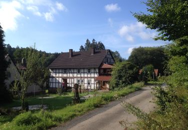 Tocht Te voet Wolfhagen - Hasenmühle, Rundweg 3 - Photo