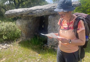 Trail Walking Bidon - 07 BIDON Dolmen réel Ardèche  - Photo