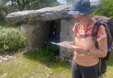 Randonnée Marche Bidon - 07 BIDON Dolmen réel Ardèche  - Photo