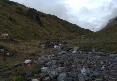 Trail Walking Gavarnie-Gèdre - Gavarnie Luz Saint sauveur - Photo