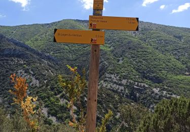 Trail Walking Plaisians - montagne de Bluye  - Photo