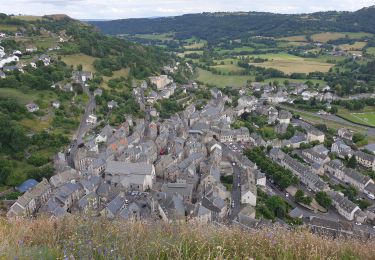 Randonnée Marche Murat - Murat - La Bonnevie de Saint-Antoine - Photo