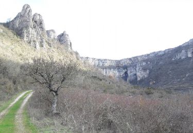 Trail Walking Tournemire - Le Cirque de Tournemire et le Sentier des Échelles en passant par Roquefort - Photo