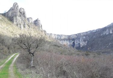 Excursión Senderismo Tournemire - Le Cirque de Tournemire et le Sentier des Échelles en passant par Roquefort - Photo