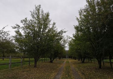 Randonnée Marche Cambremer - Saint Pair du Mont- Dozulé - Photo