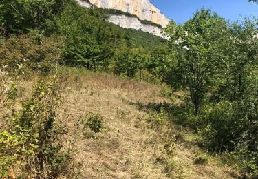 Trail Walking Saint-Laurent-en-Royans - Tour de Combe Laval  - Photo