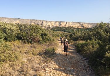 Tocht Stappen Lioux - Lioux ravin  - Photo