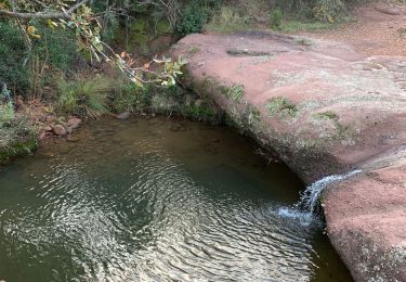 Trail Walking Roquebrune-sur-Argens - z le coulet redon 23-1121 - Photo