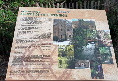 Trail Walking Gémenos - Falaise de la galère-Gemenos 21-02-24 - Photo