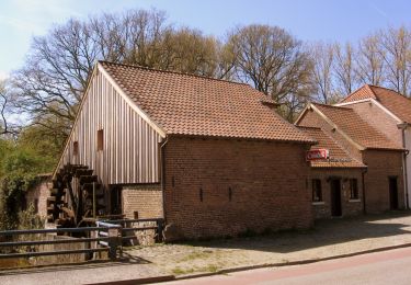 Randonnée A pied Diepenbeek - De Maten rood - Photo