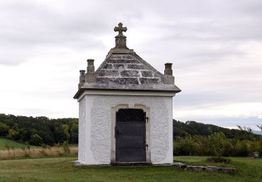 Tour Zu Fuß Siegendorf - Königsschüssel-Tour (Vital-Parcours Siegendorf) - Photo