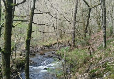 Tocht Stappen Houffalize - Statte, Valire - Photo