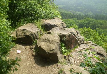 Trail On foot Bad Honnef - Rheinsteig-Zuweg Hövel/Aegidienberg - Photo