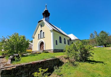 Excursión A pie Zlaté Hory - Údolská hornická NS - Photo