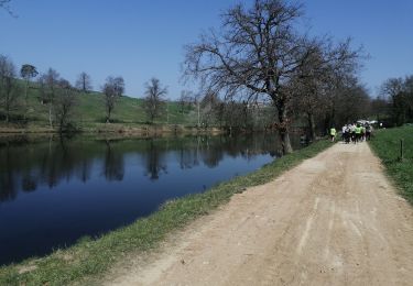 Trail Walking Saint-Galmier - barrage St galmier - Photo