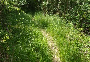 Tocht Stappen Pont-en-Royans - 38 pont en Royans st andre - Photo