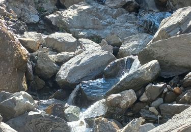 Tour Wandern La Chapelle-en-Valgaudémar - cascade de la buffe par les gorges de l'oulle au départ de la Chapelle en Vg - Photo