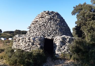 Randonnée Marche La Fare-les-Oliviers - La Fare les Oliviers - Bories - Vigie - Photo