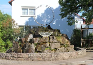 Tour Zu Fuß Burgwallbacher Forst - Rhön-Rundweg 5 Schönau - Photo