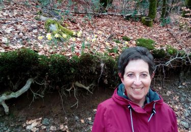Trail Walking Arfons - ramondens100320 ex - Photo