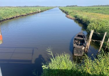 Percorso Sentiero Saint-Joachim - Le Marais de Brière - Photo