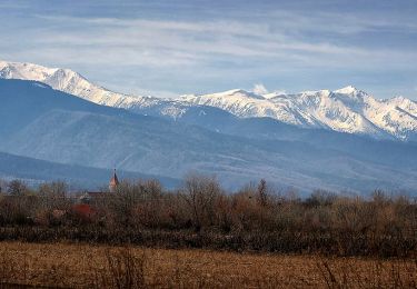 Excursión A pie  - Mărgineni - Vf. Nămaia - Vf. Văcarea Mare - sub Vf. Comisu - Photo