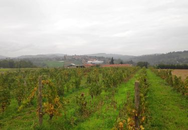 Tour Wandern Lozanne - forêt de la flachere - Photo
