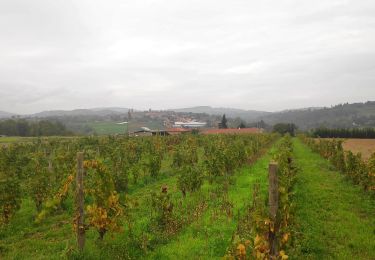 Percorso Marcia Lozanne - forêt de la flachere - Photo