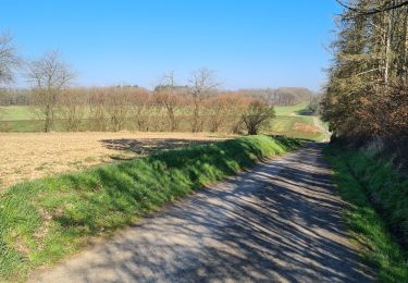 Randonnée Marche Namur - Malonne_Floreffe - Photo