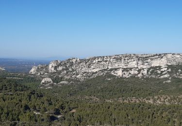 Tocht Stappen Aureille - Vigie d'Aureille - Photo