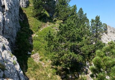Trail Walking Lescun - J1-25 Lescum refuge jeandel La Pierre St Martin - Photo