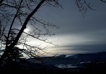 Excursión Raquetas de nieve Lans-en-Vercors - Belvédère des Cimes et Moucherotte en raquettes - Photo