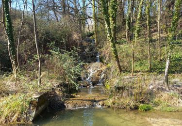 Trail Walking Montbonnot-Saint-Martin - Le bois  Français  - Photo